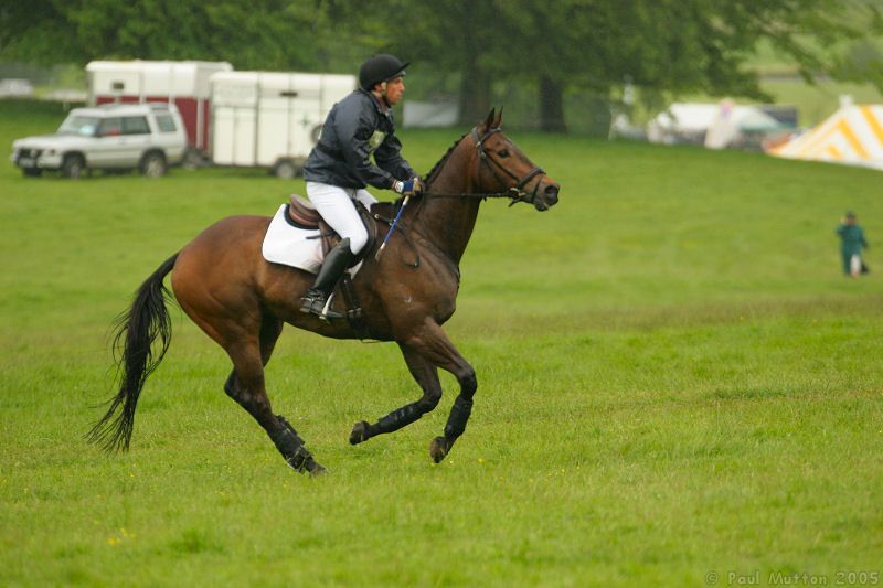 horse-and-rider-running